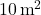 10 \, \text{m}^2